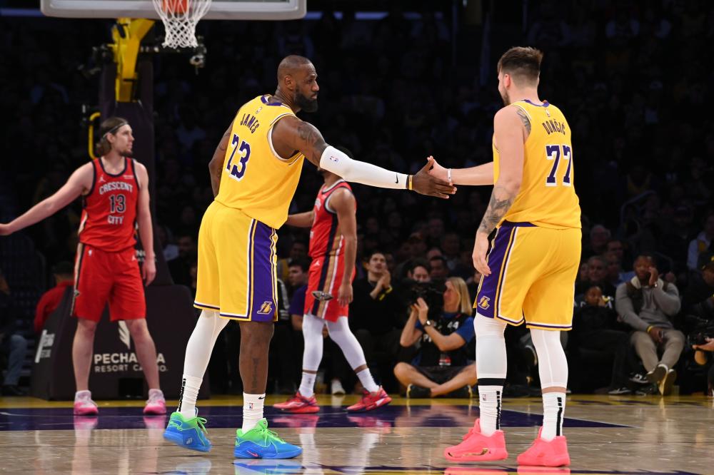 多项荣誉 多项荣誉