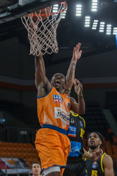 他的良好嗅 他的良好嗅